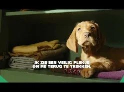 Adori Bench Zwart - Hondenbench