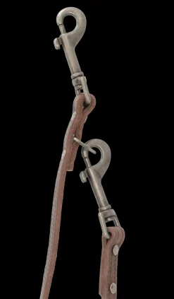 Adori Dresseerlijn Vintage Met Print - Hondenriem - 200x1.2 cm Bruin S