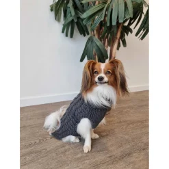 Adori Gebreide Trui David Grijs - Hondenkleding