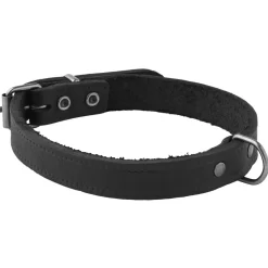 Adori Halsband Vetleder Met Print Zwart - Hondenhalsband