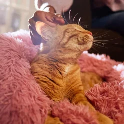 Adori Kattenmand Bangalor - Kattenmand - Ø60x26 cm Pink