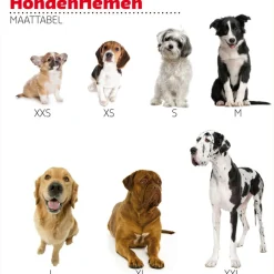 Adori Looplijn Nylon Rond Zwart - Hondenriem