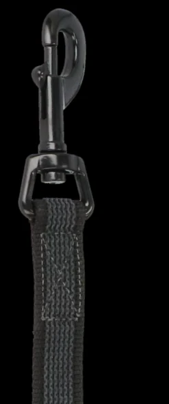 Adori Nylon Anti-Sliplijn Met Handvat - Hondenriem - 180x2 cm Zwart L