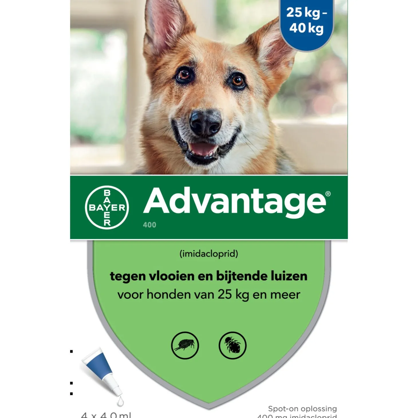 Advantage Hond 4 pip - Anti vlooien en luizenmiddel
