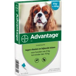 Advantage Hond 4 pip - Anti vlooien en luizenmiddel