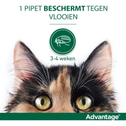 Advantage Kat 4 pip - Anti vlooienmiddel