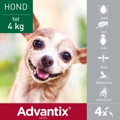 Advantix Spot On 40 0.4 ml - Anti vlooien en tekenmiddel