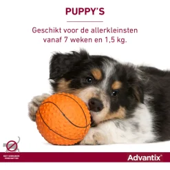 Advantix Spot On 100 1 ml - Anti vlooien en tekenmiddel