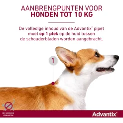 Advantix Spot On 100 1 ml - Anti vlooien en tekenmiddel