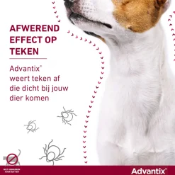 Advantix Spot On 100 1 ml - Anti vlooien en tekenmiddel