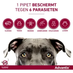 Advantix Spot On 250 2.5 ml - Anti vlooien en tekenmiddel