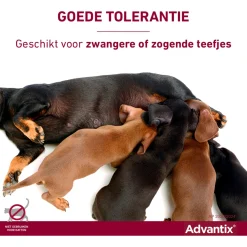 Advantix Spot On 250 2.5 ml - Anti vlooien en tekenmiddel