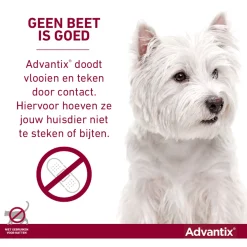 Advantix Spot On 250 2.5 ml - Anti vlooien en tekenmiddel