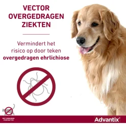 Advantix Spot-On 600 - Anti vlooien en tekenmiddel - 6 ml 6 pip 40-60 Kg