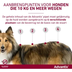 Advantix Spot-On 600 - Anti vlooien en tekenmiddel - 6 ml 6 pip 40-60 Kg