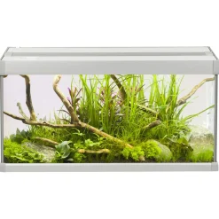 Akvastabil Family Aquarium - Aquaria - 60x30x32 cm 54 l Grijs Wit