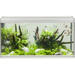 Akvastabil Family Aquarium - Aquaria - 80x35x42 cm 112 l Grijs Wit