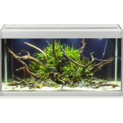 Akvastabil Family Aquarium - Aquaria - 70x32.5x37 cm 80 l Grijs Wit