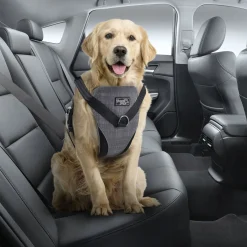 All For Paws Honden Autogordel - Hondenautoaccessoire - Grijs 40-63/46-71 Cm