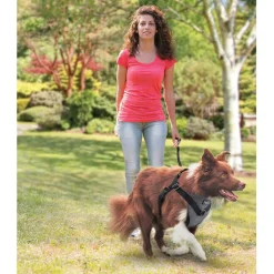 All For Paws Honden Autogordel - Hondenautoaccessoire - Grijs 40-63/46-71 Cm