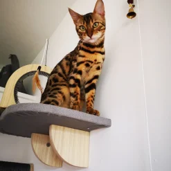 All For Paws Skywalk - Groom & Play Platform - Wandkrabpaal - 42x6.5x29 cm Grijs