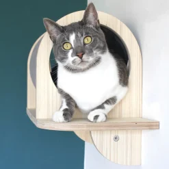 All For Paws Skywalk - Grooming Hideaway Tunnel - Wandkrabpaal - 28x13x29 cm Grijs