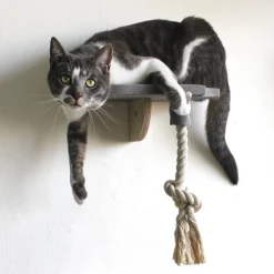 All For Paws Skywalk - Step-In Platform With Rope - Wandkrabpaal - 32x8x28 cm Grijs