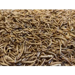 Allbirds&Co Gedroogde Meelwormen In Emmer - Tuinvogelvoer - 850 g