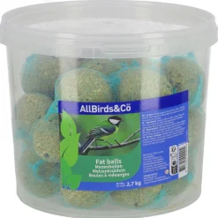 Allbirds&Co Mezenbollen - Tuinvogelvoer - 90 g 30 stuks