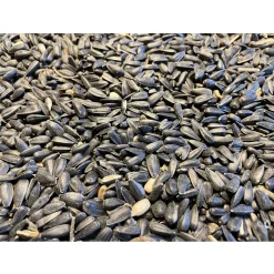 Allbirds&Co Zwarte Zonnebloempitten In Emmer - Tuinvogelvoer - 2 kg