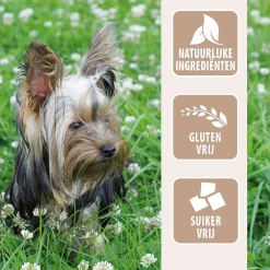 Antos Chicken D'Light Sticks - Hondensnacks - Kip 400 g