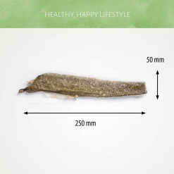 Antos Fish D'Light Salmon Skin - Hondensnacks - Zalm 100 g