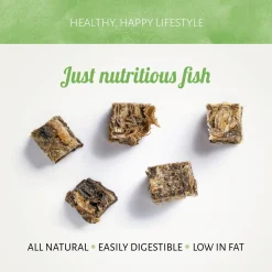 Antos Fish D'Light Squared - Hondensnacks - Vis 100 g