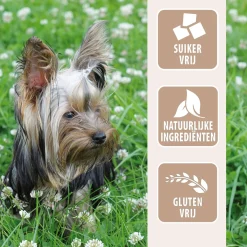 Antos Geitenoren - Hondensnacks - Geit 200 g