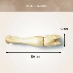 Antos Lamspootje - Hondensnacks - Lam 80 g