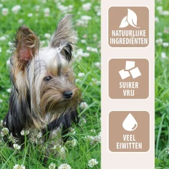 Antos Runderhuid Met Kip Bot - Hondensnacks - Kip Rund 75 g 2 stuks