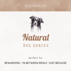 Antos Varkensneus Gepoft - Hondensnacks - Varken 80 g 2 stuks