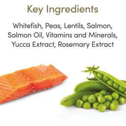 Applaws Cat Adult - Kattenvoer - Vis 1.8 kg