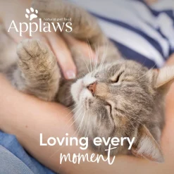 Applaws Cat Adult - Kattenvoer - Vis 6 kg