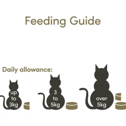 Applaws Cat Blik - Kattenvoer - Kip Eend 156 g