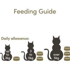 Applaws Cat Blik Mp Selection - Kattenvoer - Kip 12x70 g