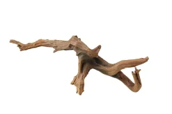 Aqua Della Decor Driftwood - Aquarium - Ornament