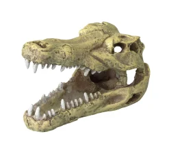 Aqua Della Decor Schedel Krokodil S - Aquarium - Ornament