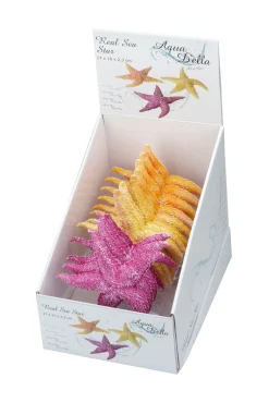 Aqua Della Decor Zeester - Aquarium - Ornament - 17x15x2.5 cm Assorti