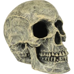 Aqua Della Doodskop - Aquarium - Ornament - 16x10.5x13.2 cm