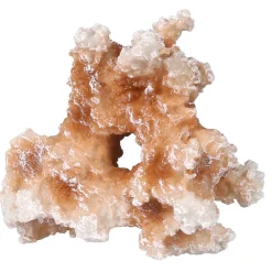 Aqua Della Koraal - Aquarium - Ornament - 11.5x6.5x10 cm S