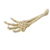 Aqua Della Skelet Hand - Aquarium - Ornament - 26.8x9.4x4.5 cm