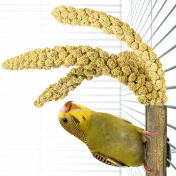 Back Zoo Nature Bamboo Grass Keeper - Vogelspeelgoed - 3x3x20 cm