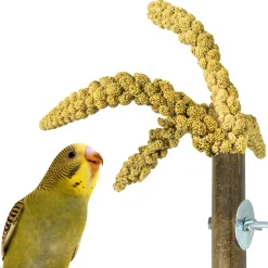 Back Zoo Nature Bamboo Grass Keeper - Vogelspeelgoed - 3x3x20 cm