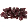 Back Zoo Nature Cranberries - Vogelsnack - 50 g